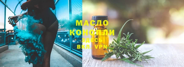 дмт Новозыбков