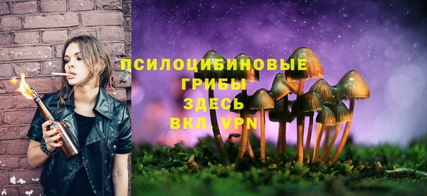 дмт Новозыбков