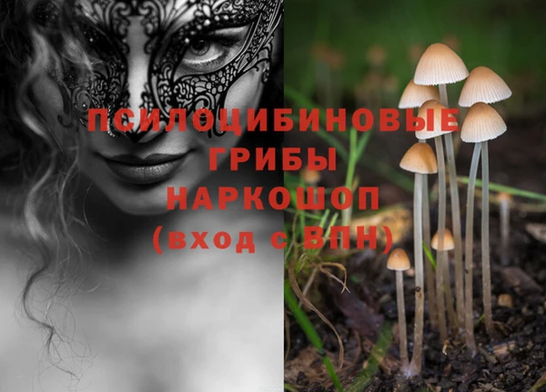кокс Новодвинск